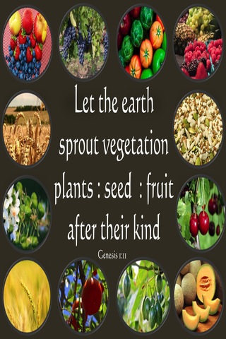 Genesis 1:11 Let The Earth Sprout Vegetation (brown)
